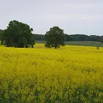Exklusives Skandinavisches Rechlin